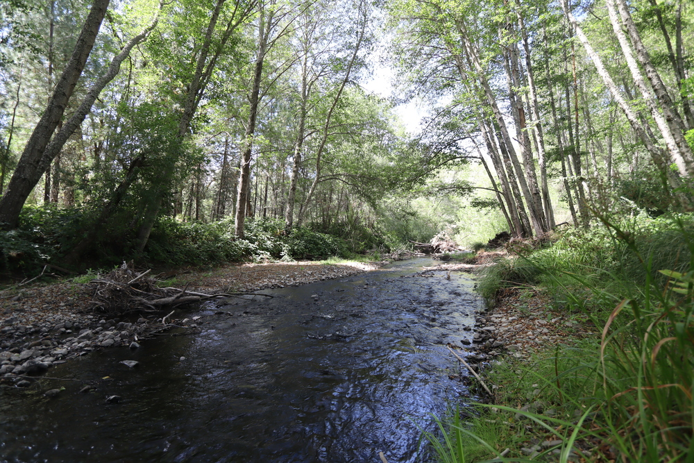 Kelsey Creek