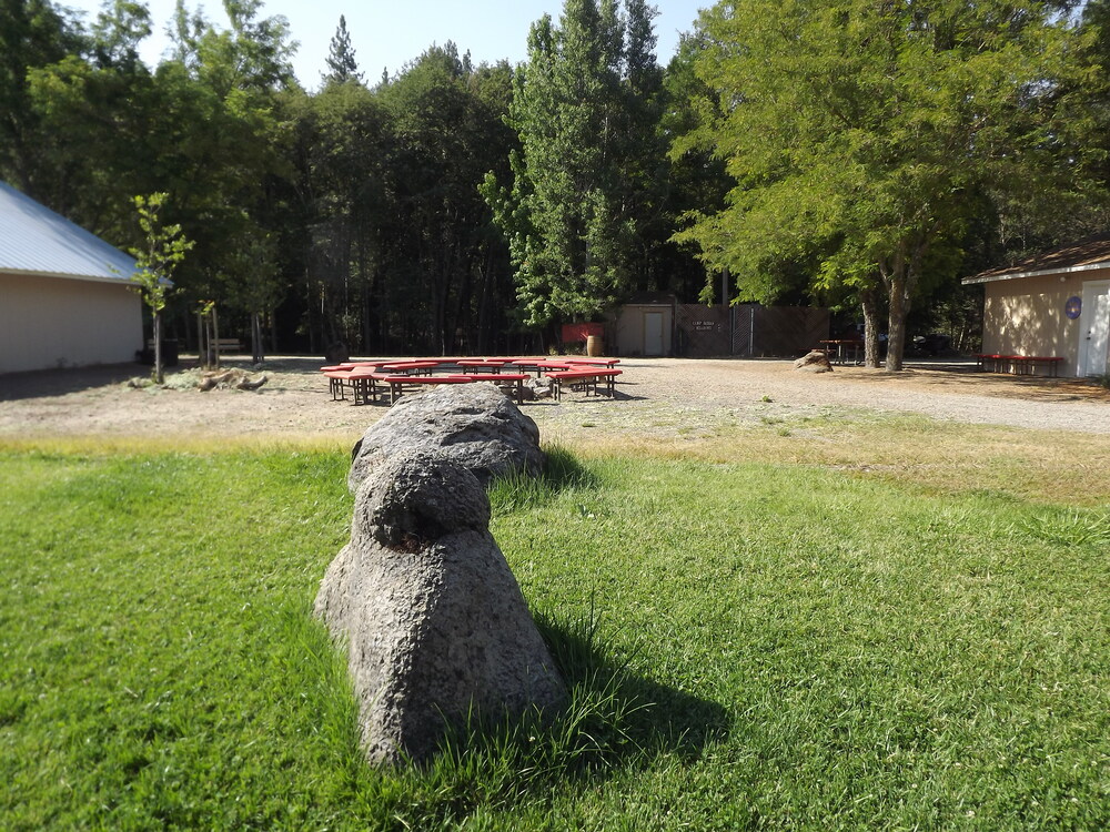 Camp grounds